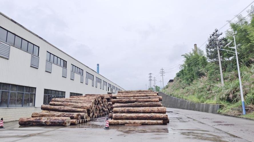 Log processing stage -- timber grading and kiln drying