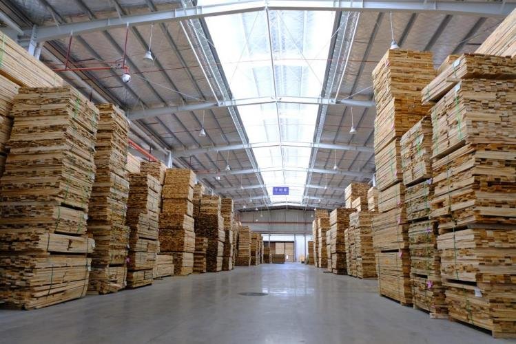 Timber